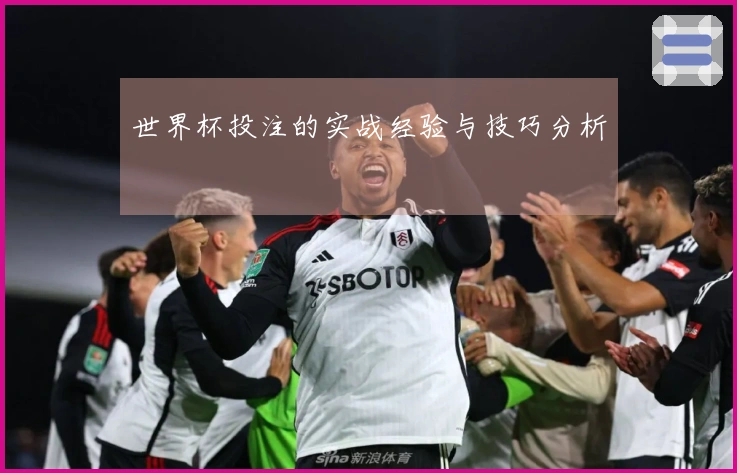 世界杯投注的实战经验与技巧分析