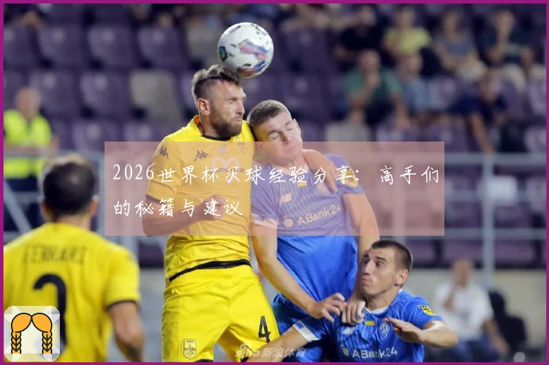 2026世界杯买球经验分享：高手们的秘籍与建议