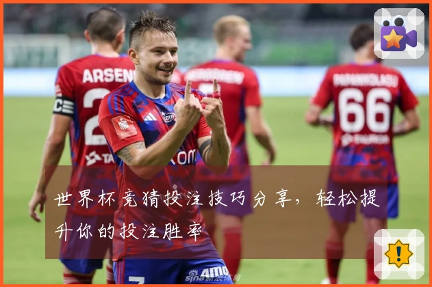 世界杯竞猜投注技巧分享，轻松提升你的投注胜率