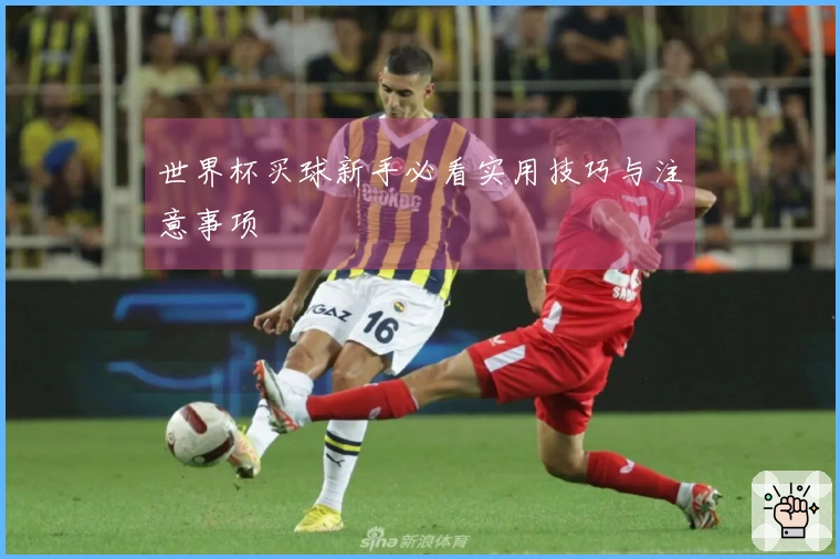 世界杯买球新手必看实用技巧与注意事项
