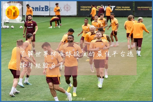 了解世界杯滚球投注的最佳平台选择与经验分享