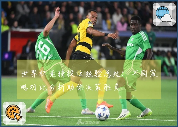 世界杯竞猜投注经验总结：不同策略对比分析助你决策胜负