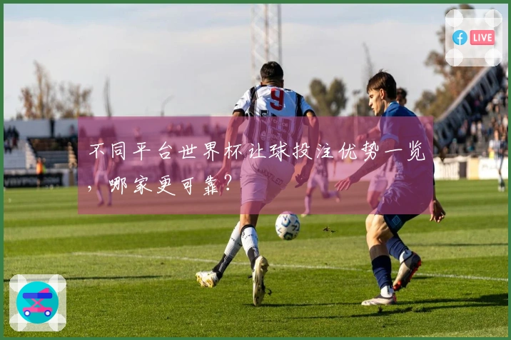 不同平台世界杯让球投注优势一览，哪家更可靠？