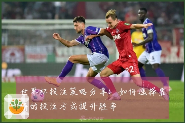 世界杯投注策略分享：如何选择靠谱的投注方式提升胜率