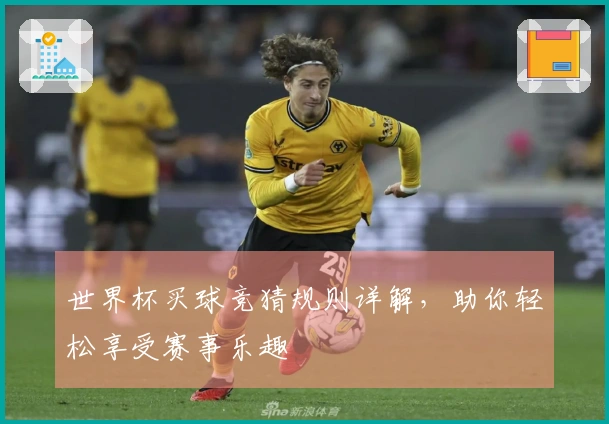 世界杯买球竞猜规则详解，助你轻松享受赛事乐趣