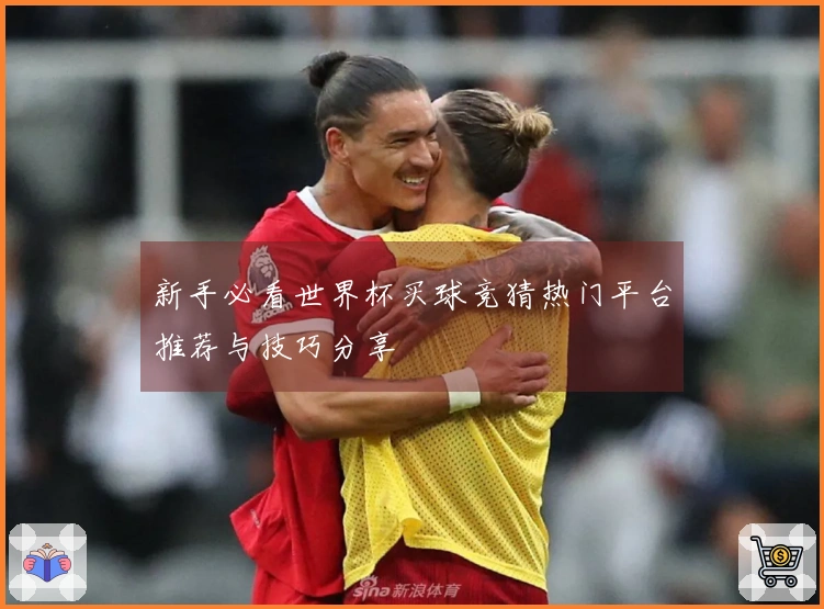 新手必看世界杯买球竞猜热门平台推荐与技巧分享